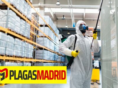 PLAGAS MADRID: ¿Cómo encontrar los mejores servicios de control de plagas?