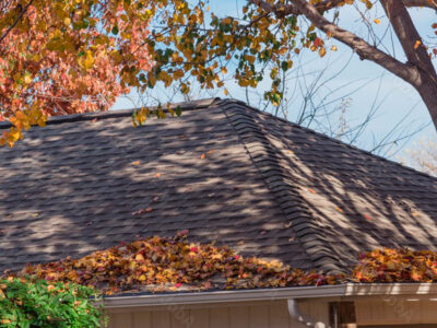 La revisión de los tejados en otoño por profesionales: mantén tu hogar protegido