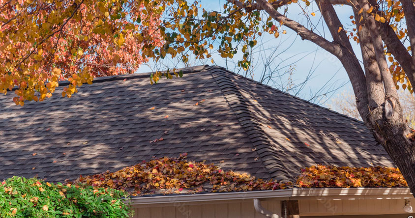 La revisión de los tejados en otoño por profesionales: mantén tu hogar protegido
