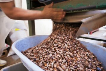 Paccari desvela mitos y leyendas sobre el chocolate