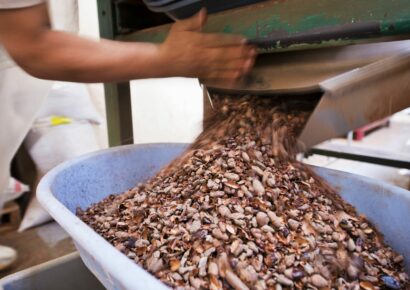 Paccari desvela mitos y leyendas sobre el chocolate