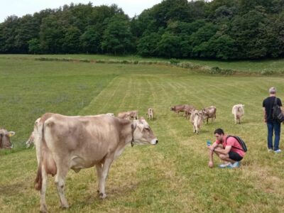 El sector del vacuno de leche europeo visita Euskadi buscando las mejores técnicas