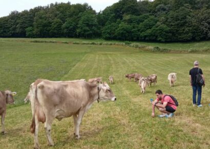 El sector del vacuno de leche europeo visita Euskadi buscando las mejores técnicas