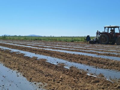 El campo se apunta a los plásticos BIO: la demanda se dispara en las últimas campañas