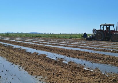 El campo se apunta a los plásticos BIO: la demanda se dispara en las últimas campañas