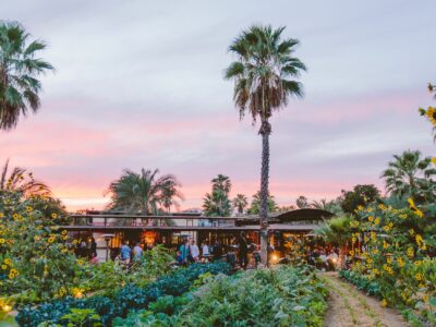 La primera Guía MICHELIN de México reconoce a Los Cabos como destino culinario sostenible