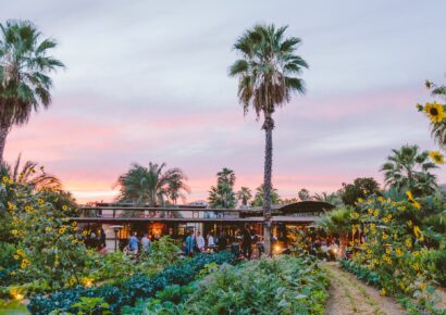 La primera Guía MICHELIN de México reconoce a Los Cabos como destino culinario sostenible