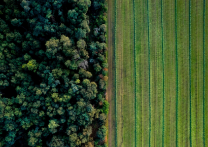 Más de 30.000 empresas españolas, a menos de 7 meses de la directiva europea sobre deforestación