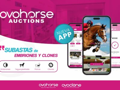 La App de subastas Ovohorse Auctions lanza un embrión de «Chacco Blue»