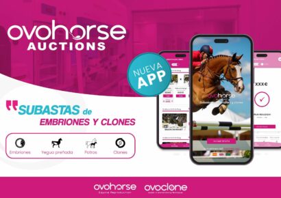 La App de subastas Ovohorse Auctions lanza un embrión de «Chacco Blue»