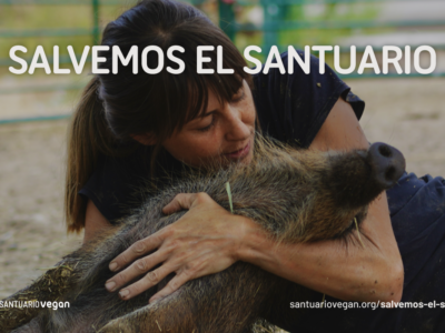 La Fundación Santuario Vegan lanza la campaña «Salvemos el Santuario» para poder mudarse al nuevo terreno