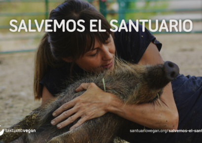 La Fundación Santuario Vegan lanza la campaña «Salvemos el Santuario» para poder mudarse al nuevo terreno