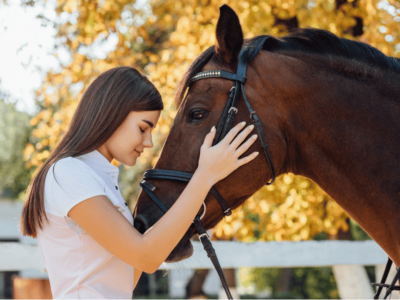 Bifeedoo, aliado en la prevención de problemas digestivos en caballos con su pienso ecológico