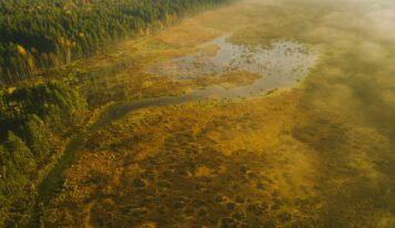 El encanto del otoño lituano: una sinfonía de colores y naturaleza viva