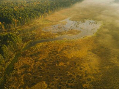 El encanto del otoño lituano: una sinfonía de colores y naturaleza viva