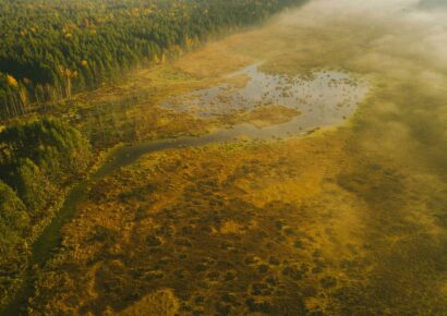 El encanto del otoño lituano: una sinfonía de colores y naturaleza viva