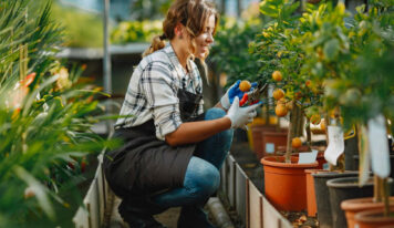 Cultivando el cambio: el rol de los viveros en la agricultura sostenible