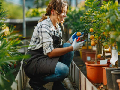 Cultivando el cambio: el rol de los viveros en la agricultura sostenible