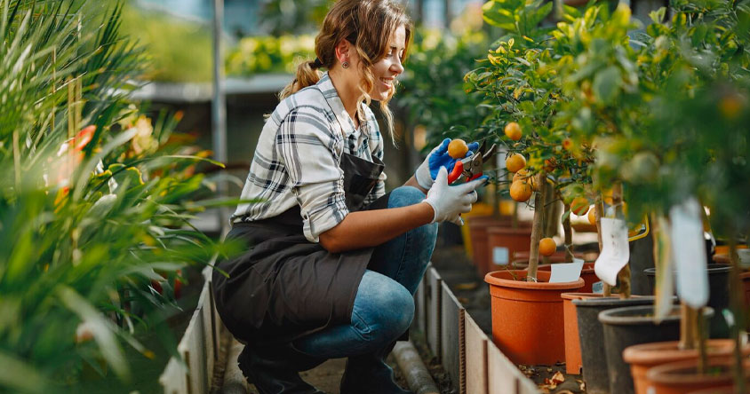 Cultivando el cambio: el rol de los viveros en la agricultura sostenible