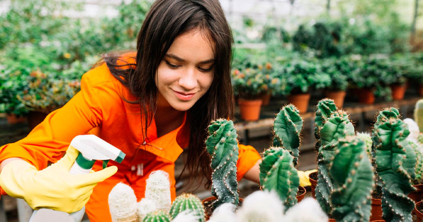 Educación y concienciación: pilares para un futuro sostenible