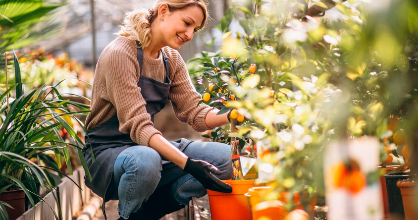 Viveros y su impacto en la restauración de ecosistemas agrícolas