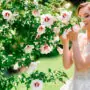 Todo lo que necesitas saber sobre bodas en invierno y primavera