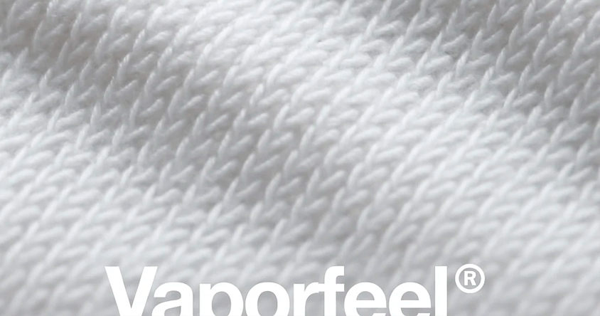La ciencia de Vaporfeel
