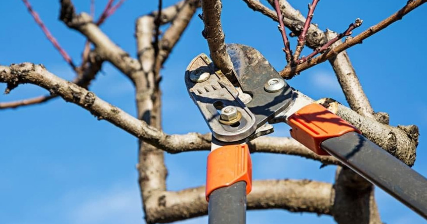 Recomendaciones para garantizar resultados seguros Recomendaciones para garantizar resultados seguros