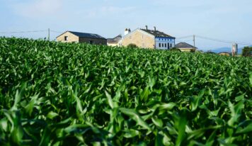 El Fondo de la Comunidad de Airbnb dona más de 2 millones de dólares a 28 organizaciones sin ánimo de lucro en Europa