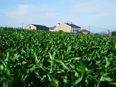 El Fondo de la Comunidad de Airbnb dona más de 2 millones de dólares a 28 organizaciones sin ánimo de lucro en Europa