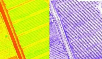Un novedoso proyecto impulsa la digitalización del ciclo productivo de las manzanas de sidra asturiana y vasca mediante IA y tecnologías de teledetección