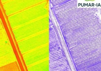 Un novedoso proyecto impulsa la digitalización del ciclo productivo de las manzanas de sidra asturiana y vasca mediante IA y tecnologías de teledetección