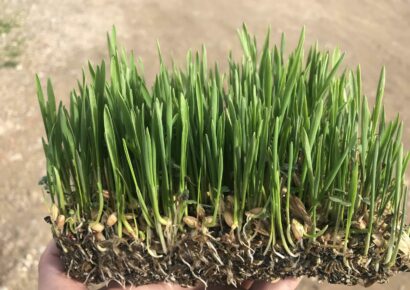 BioPalacín Planet alerta sobre la importancia del relevo generacional en el campo