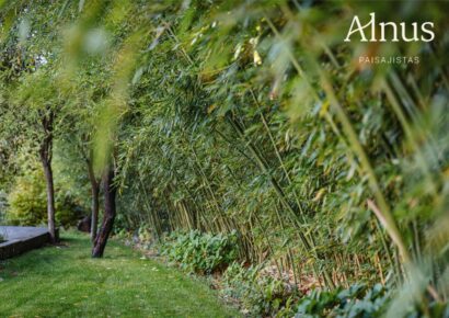 Alnus Paisajistas consolida su trayectoria como estudio de paisajismo sostenible en Madrid