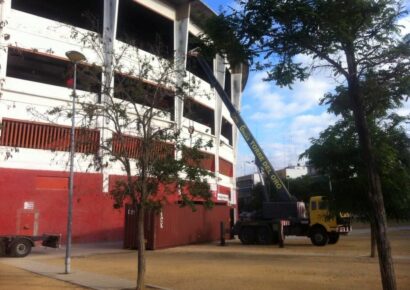 Grúas Torre del Oro lidera el sector de la elevación con soluciones especializadas para grandes montajes