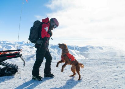 Nulo aterriza en España junto a IskayPet para revolucionar la nutrición premium para mascotas