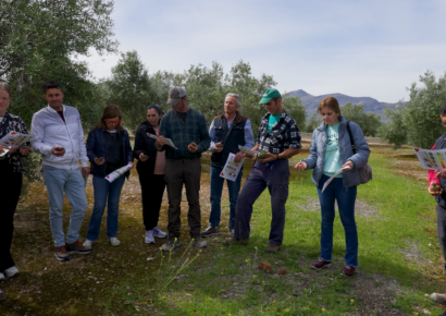 La Fundación PepsiCo lanza la segunda edición de VivaOliva para contribuir a la transformación del olivar de Jaén con agricultura regenerativa