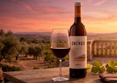Obergo pone en valor el carácter del territorio en su vino cabernet sauvignon del Somontano