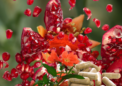 Sugieren que extracto de granada y probióticos alivian Intestino Irritable según Univ. de Extremadura y SES