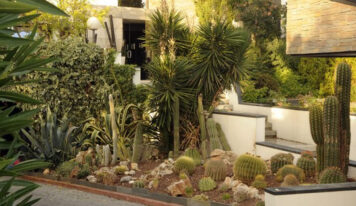 ¿Qué es el xeropaisajismo en el mantenimiento de jardines y por qué está transformando los espacios verdes?