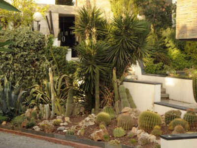 ¿Qué es el xeropaisajismo en el mantenimiento de jardines y por qué está transformando los espacios verdes?