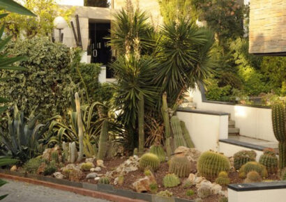 ¿Qué es el xeropaisajismo en el mantenimiento de jardines y por qué está transformando los espacios verdes?