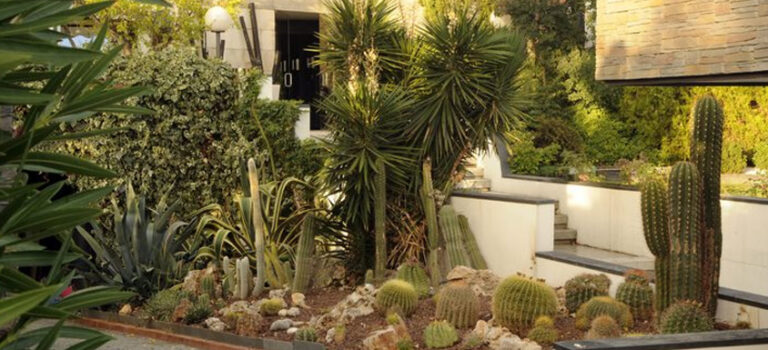 ¿Qué es el xeropaisajismo en el mantenimiento de jardines y por qué está transformando los espacios verdes?