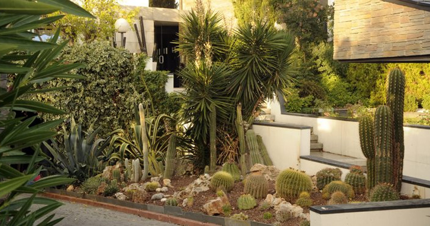 ¿Qué es el xeropaisajismo en el mantenimiento de jardines y por qué está transformando los espacios verdes?