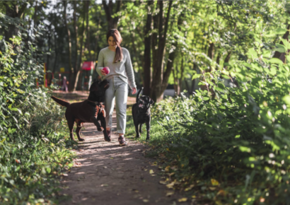 TodoMascota analiza cómo la llegada del buen tiempo transforma las rutinas y cuidados del perro