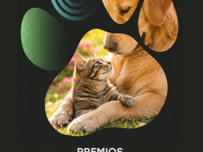 España tiene más perros que niños: Fundación Dingonatura busca historias que transforman esta realidad