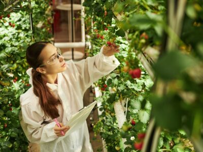 Eatable Adventures lanza Raíces para cerrar la brecha de inversión en startups hispanohablantes