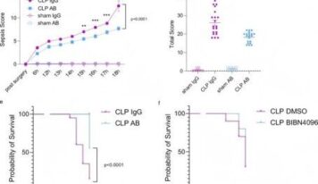 Cloud-Clone respalda un innovador estudio sobre sepsis publicado en Nature Communications mediante el análisis de la procalcitonina truncada