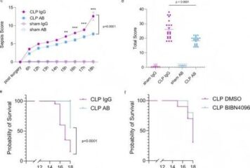 Cloud-Clone respalda un innovador estudio sobre sepsis publicado en Nature Communications mediante el análisis de la procalcitonina truncada