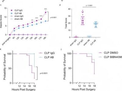 Cloud-Clone respalda un innovador estudio sobre sepsis publicado en Nature Communications mediante el análisis de la procalcitonina truncada